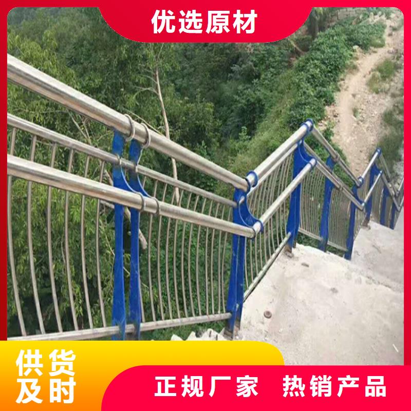 宁波品牌的河道防护栏 生产厂家