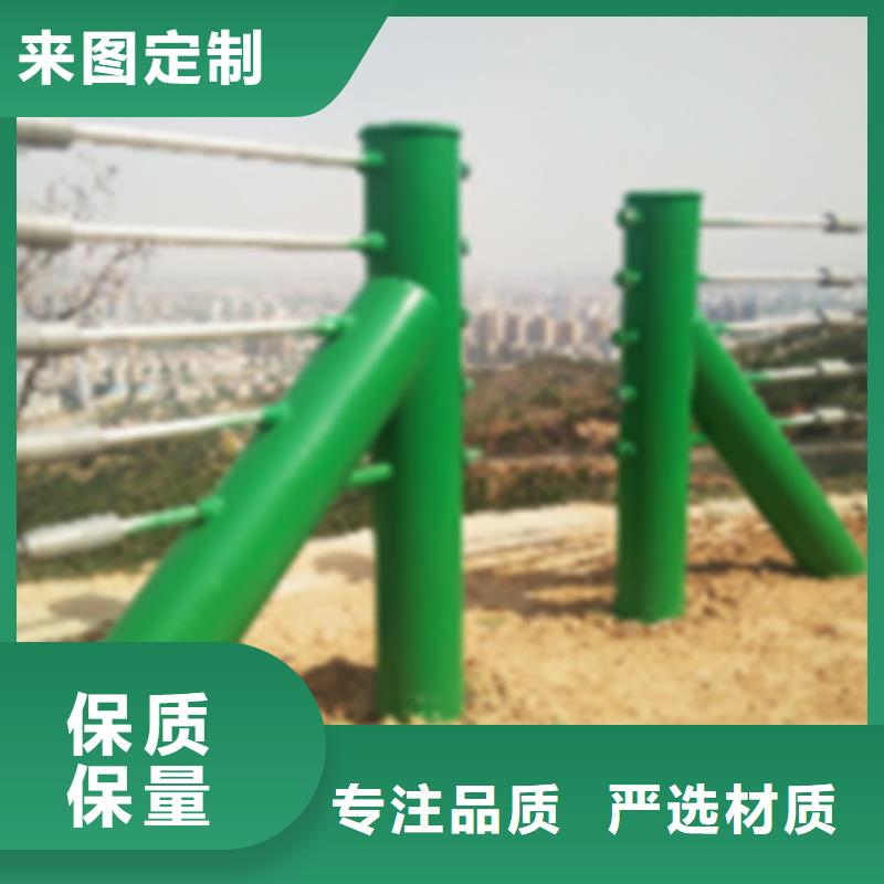 秦皇岛重信誉不锈钢钢丝绳护栏 绿色厂商