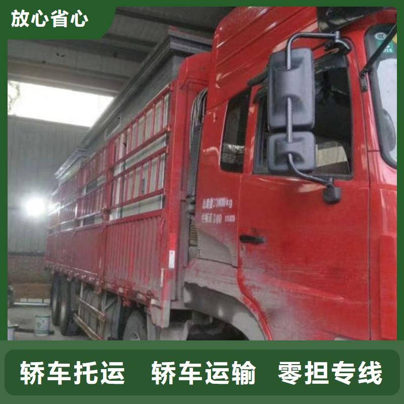 广州物流乐从到广州专线物流运输公司直达托运返空车回头车服务卓越