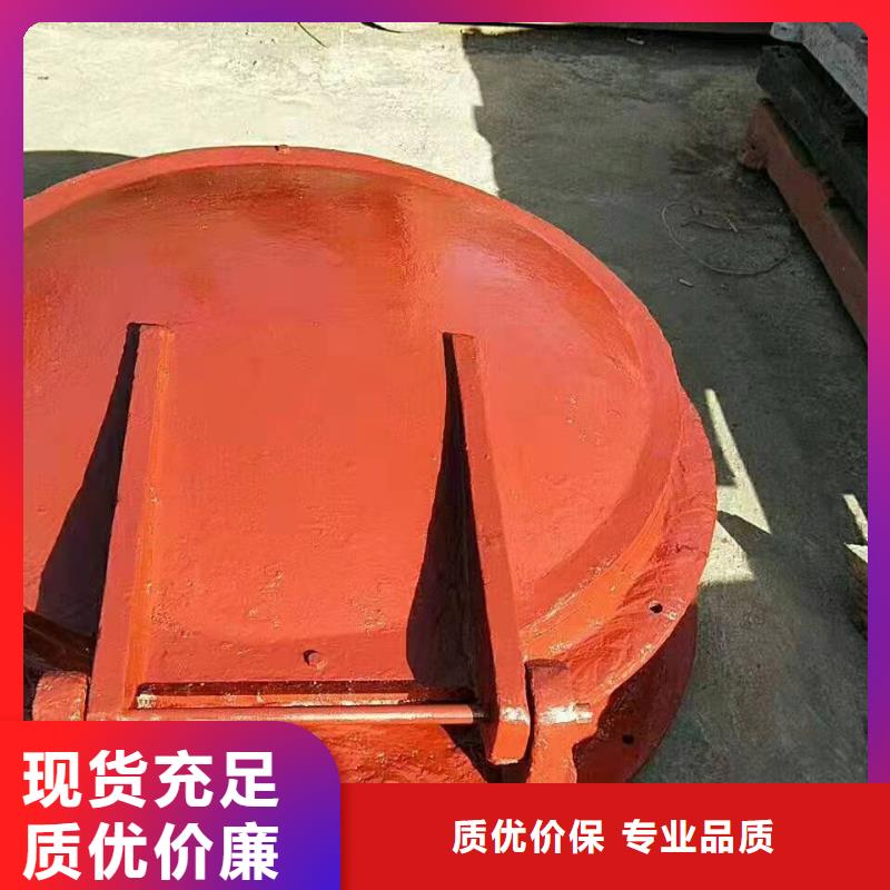 香港铸铁闸门 螺杆启闭机厂家专业品质