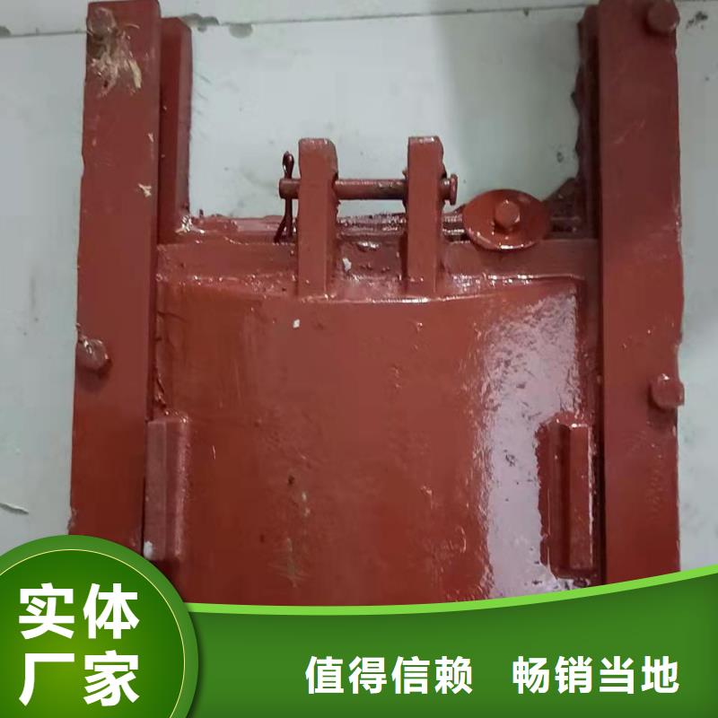 台湾机闸一体式铸铁闸门支持定制