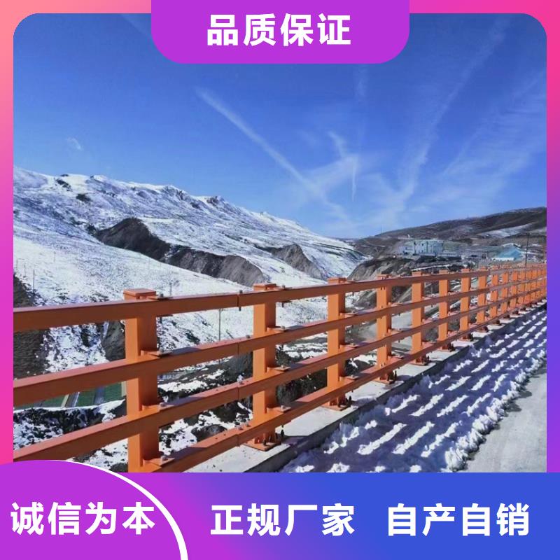 重庆河道护栏 桥梁栏杆精于质量
