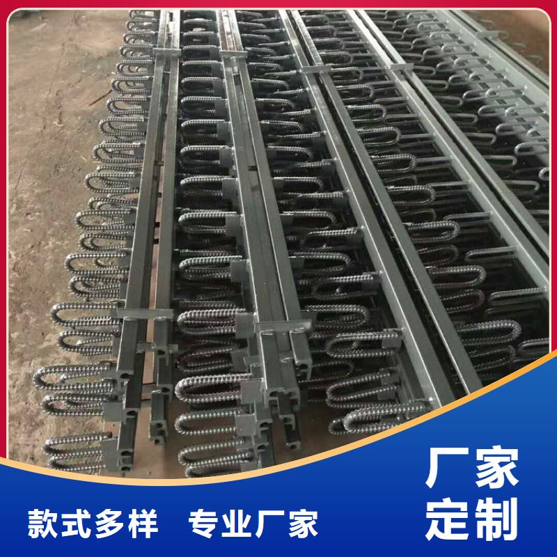 惠州SD-100桥梁伸缩缝装置优势特点