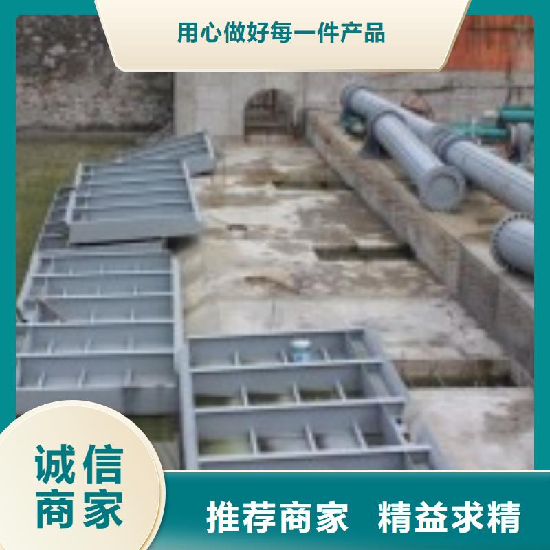 西藏林芝钢制钢制闸门品质保证