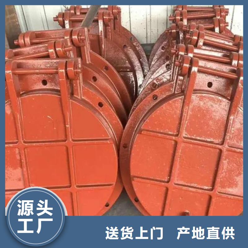 广州越秀DN300铸铁拍门制造厂家