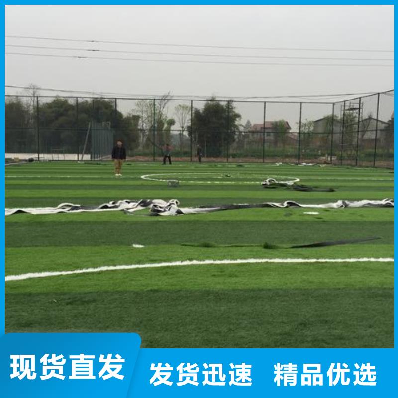 学校塑胶跑道PVC地板球场厂家质优价廉附近生产厂家