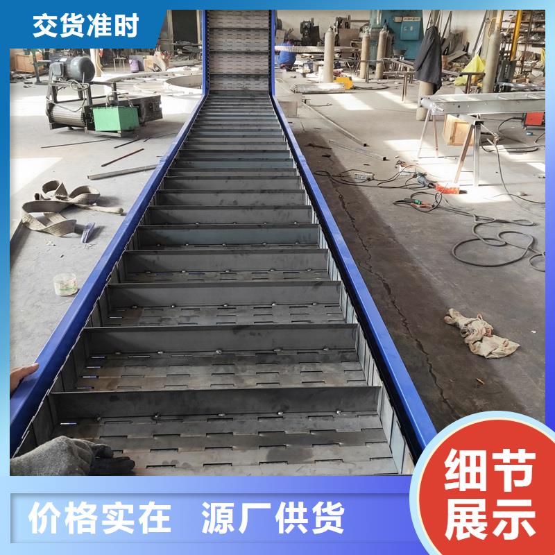 衡阳Ton wrapped chain plate conveyor 可定制