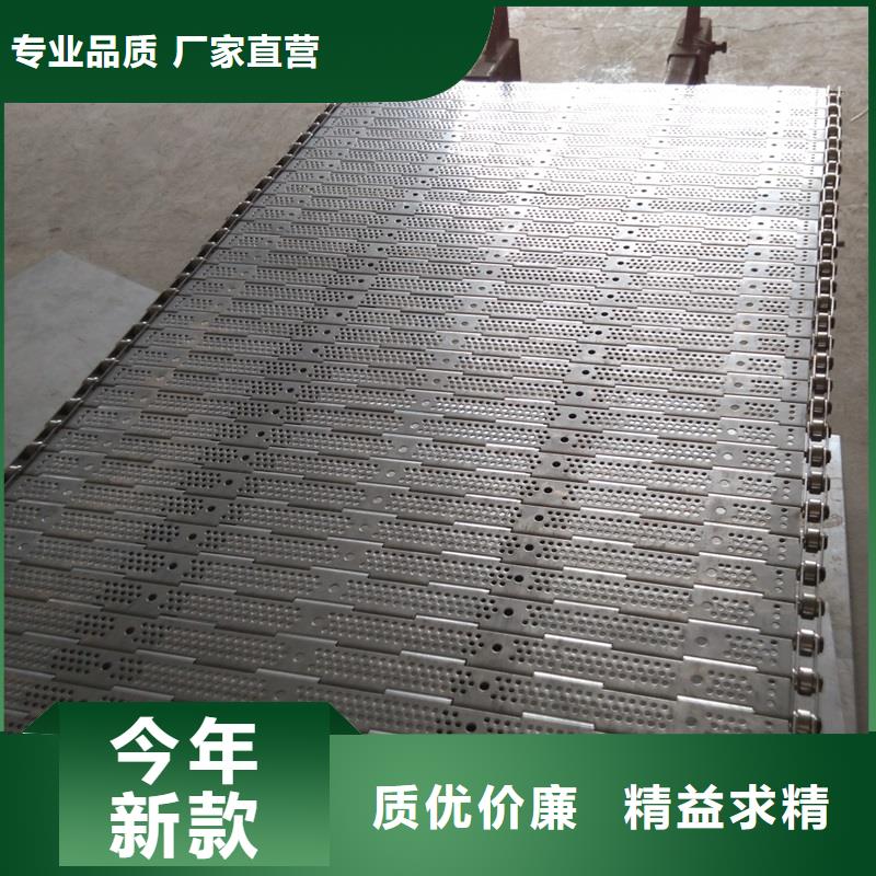 尼龙链板输送带构造源头厂家厂家专业生产制造厂