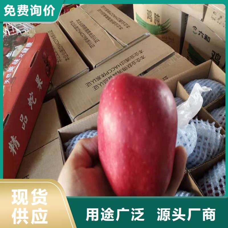 上海苹果桃树苗合作共赢