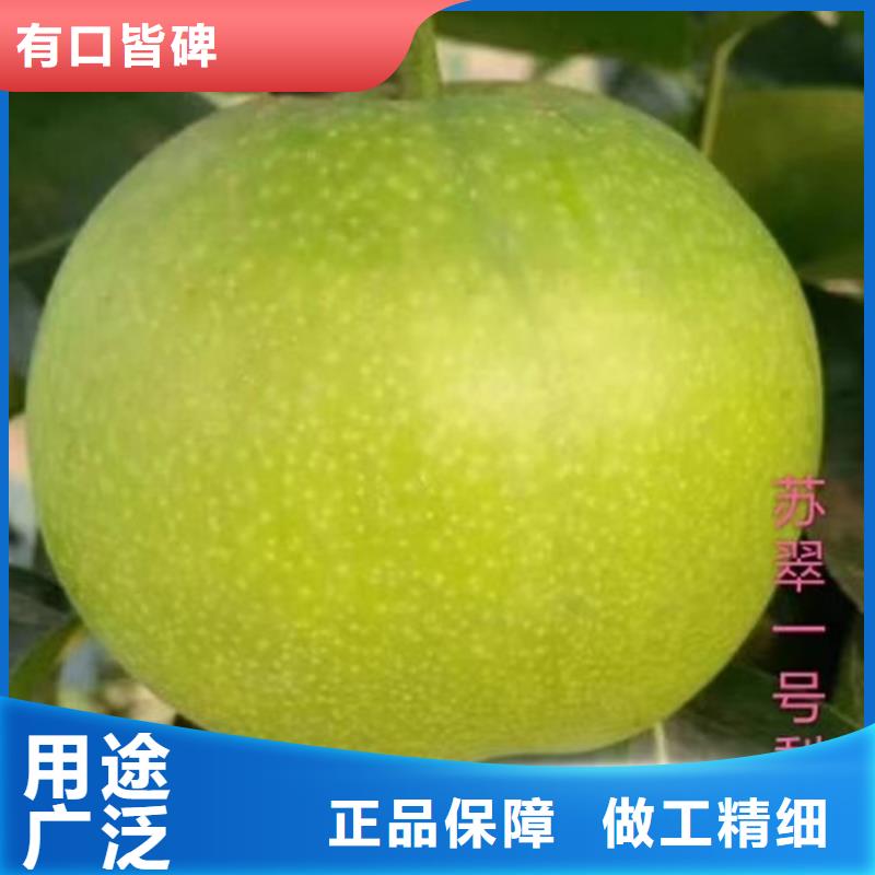 早酥红梨苗适合种植地区广元