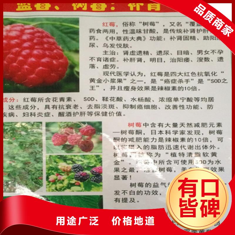 树莓-红石榴苗基地产品参数物流配送