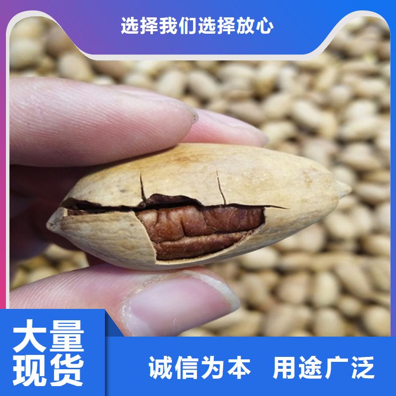 台湾碧根果石榴树对质量负责