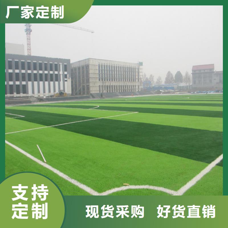 价格低的足球场人造草坪实体厂家材质实在