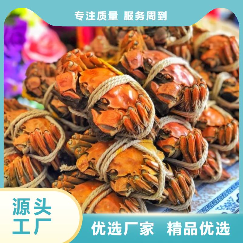 漳州南方大螃蟹现货