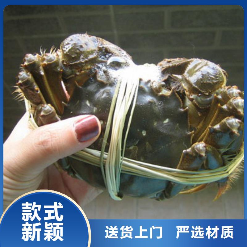珠海大闸蟹优质货源