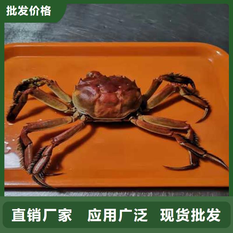螃蟹品牌-报价_阳澄湖镇莲花岛顾记大闸蟹经营部