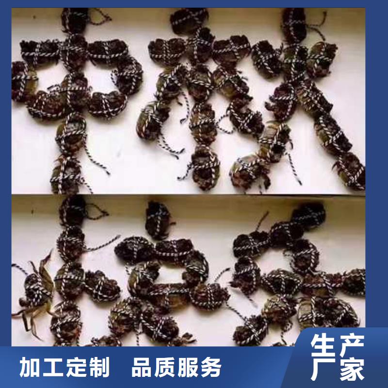 台湾南方大螃蟹批发商