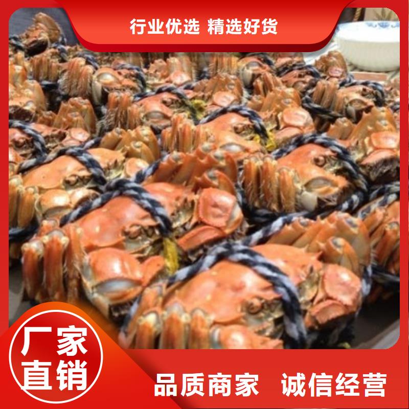 广州市鲜活 阳澄湖螃蟹一斤几个