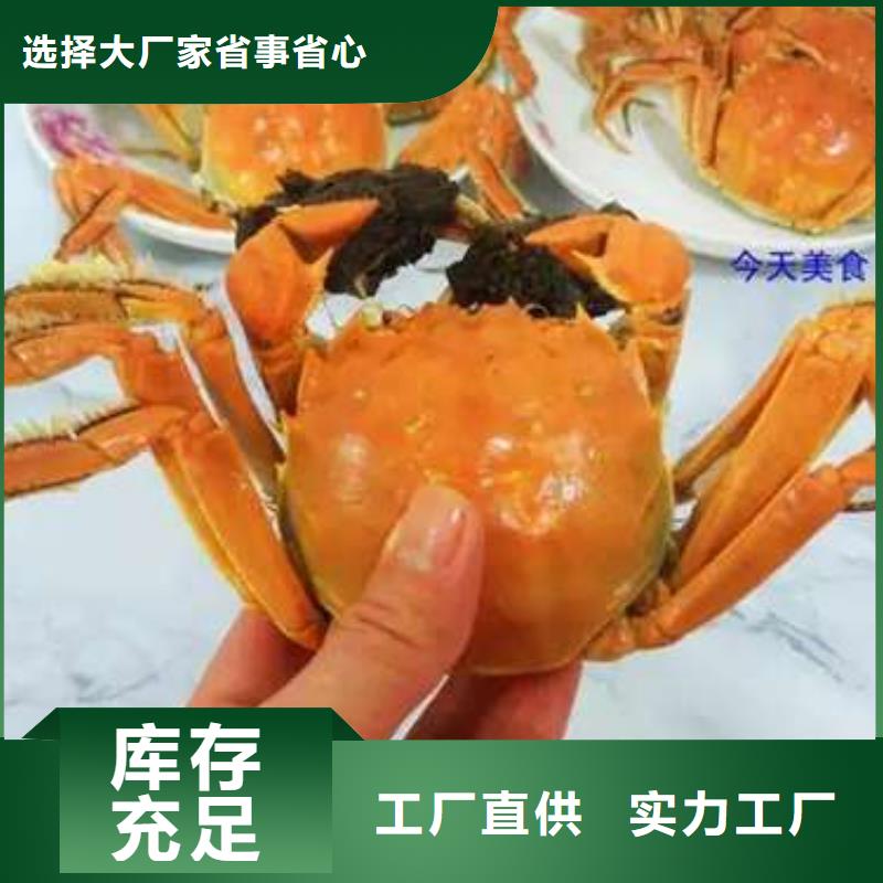 揭阳市今天的螃蟹价格多少钱一斤厂家十分靠谱