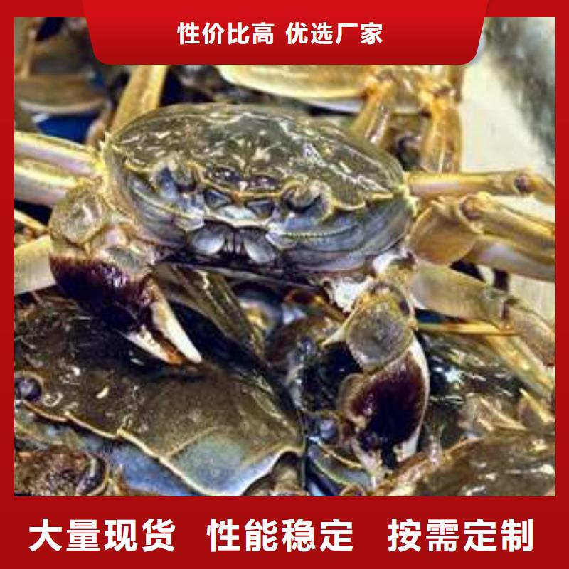 东莞市便宜的阳澄湖大闸蟹一斤几个厂家精选