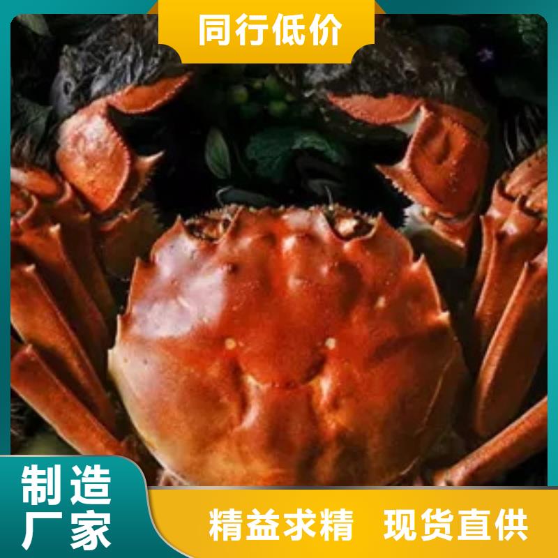 阳澄湖大闸蟹-常规货源当天发出附近生产商