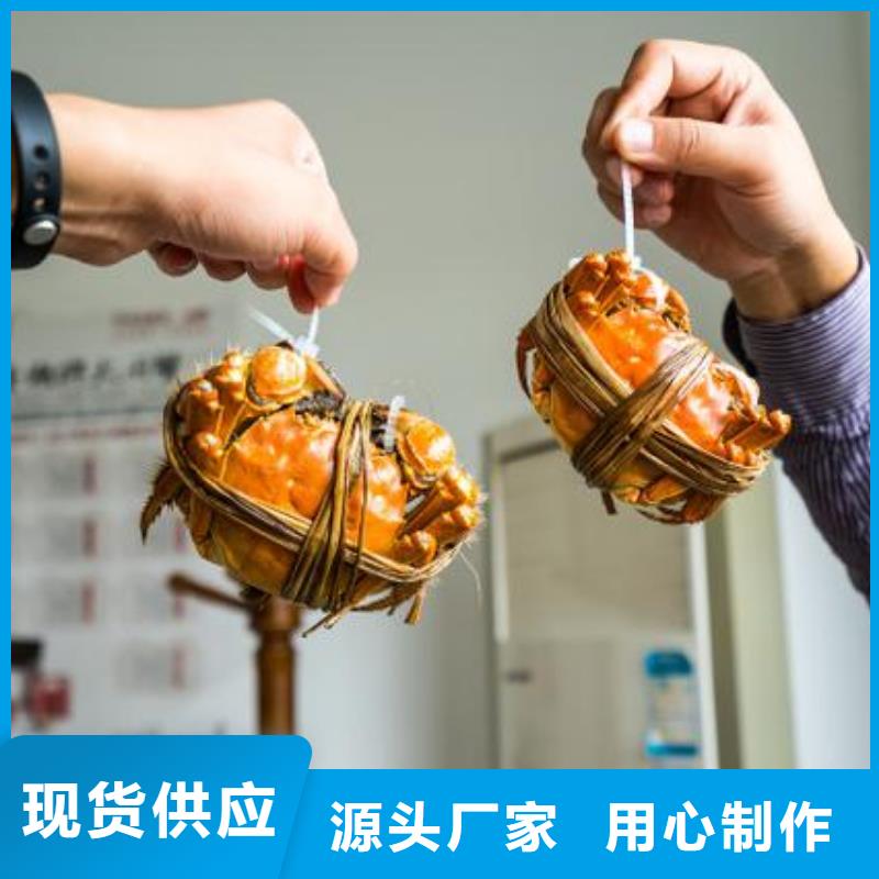 惠州市南方大螃蟹一只价格优选原材