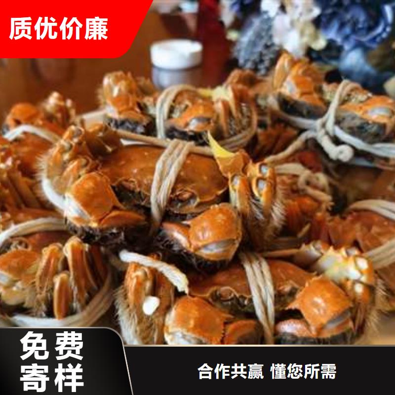 揭阳市鲜活螃蟹价格多少钱一只厂家采购