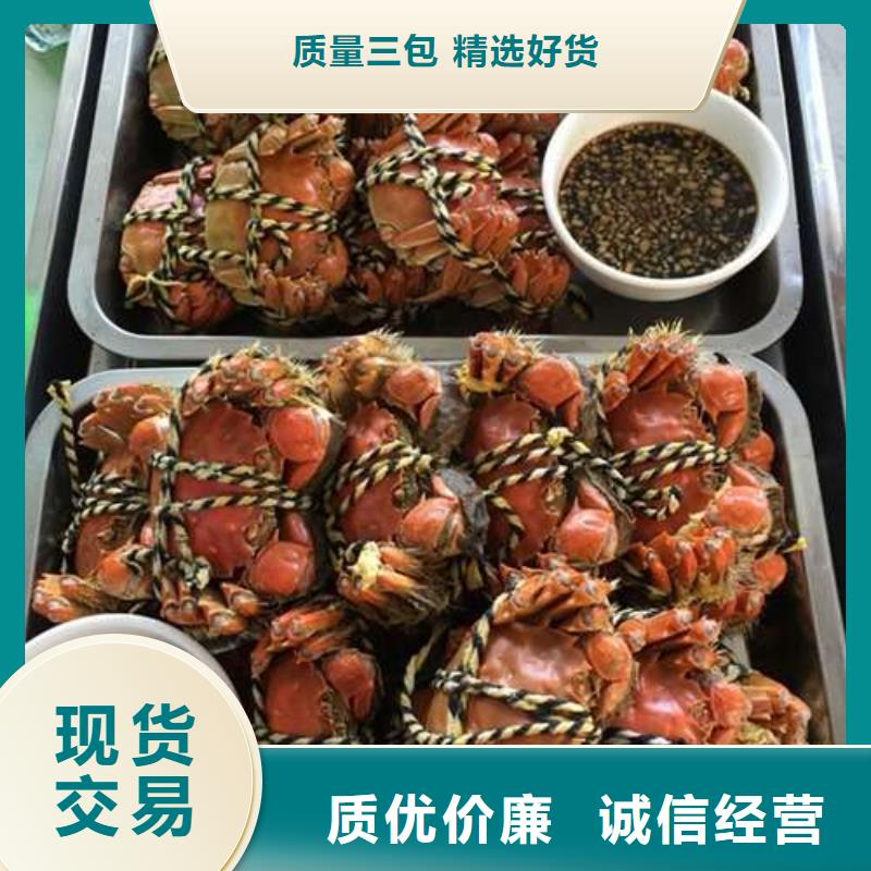 深圳市鲜活螃蟹现货