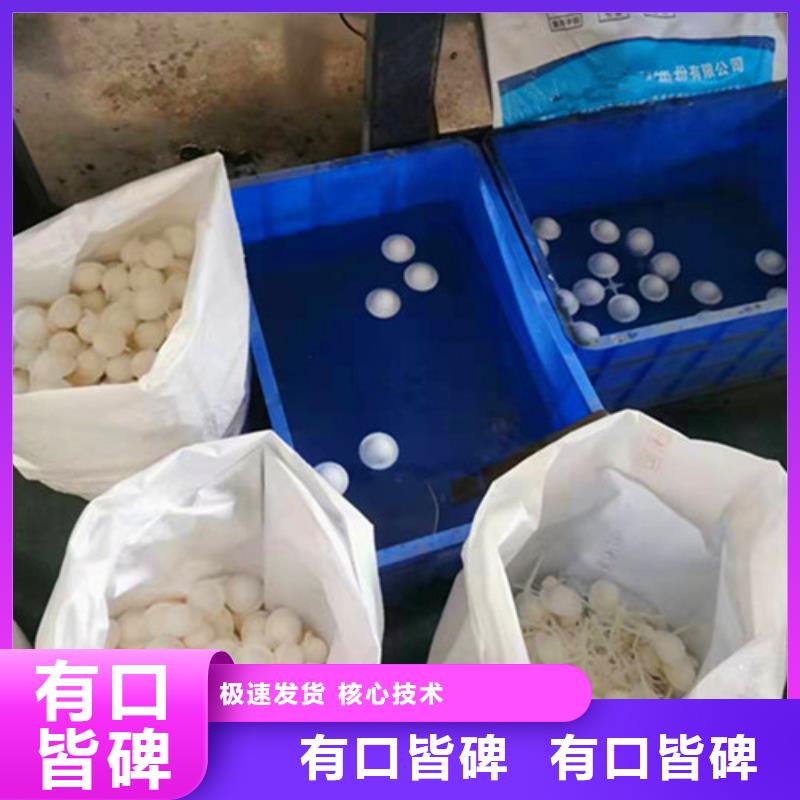 丽江纤维球滤料厂家品质过关货号2-101