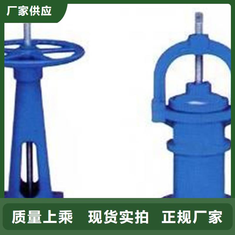 芜湖常年供应斜拉螺杆启闭机-保质