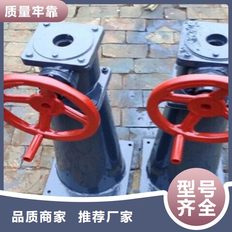 徐州市铸铁闸门启闭机当地有成功案例