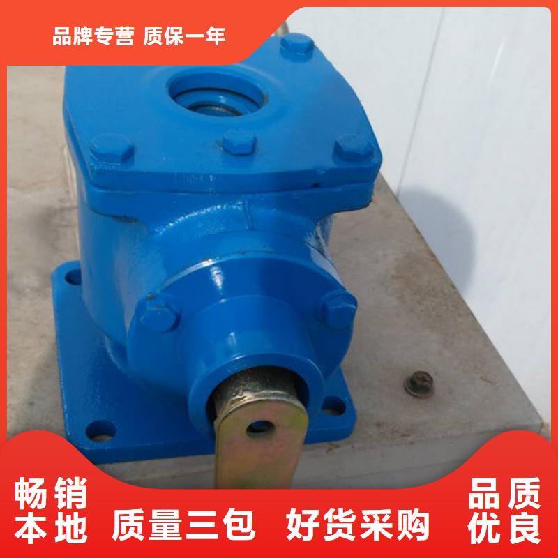 安庆市太湖县电动装置启闭机水利机械
