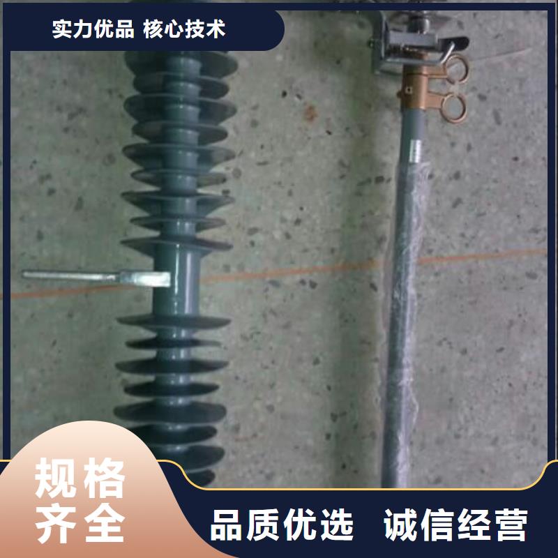 【玉林】跌落式熔断器RW12-10F/100A