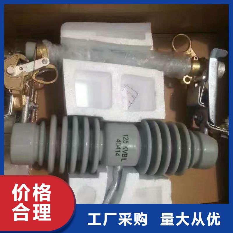 莱芜【跌落式熔断器】RW12-15KV/100A 浙江羿振电气有限公司