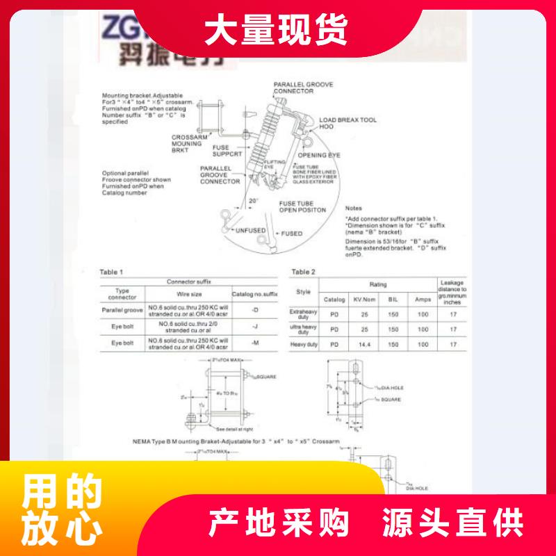 高压熔断器HRW12-15KV/200厂家现货供应