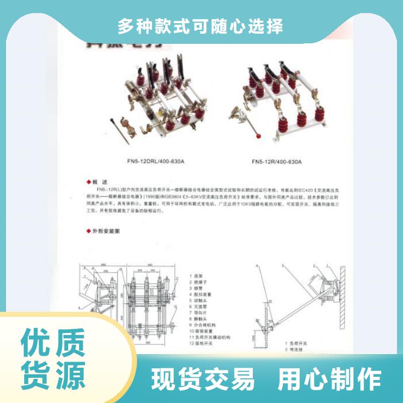 惠州  高压熔断器RW-10/100-6.3