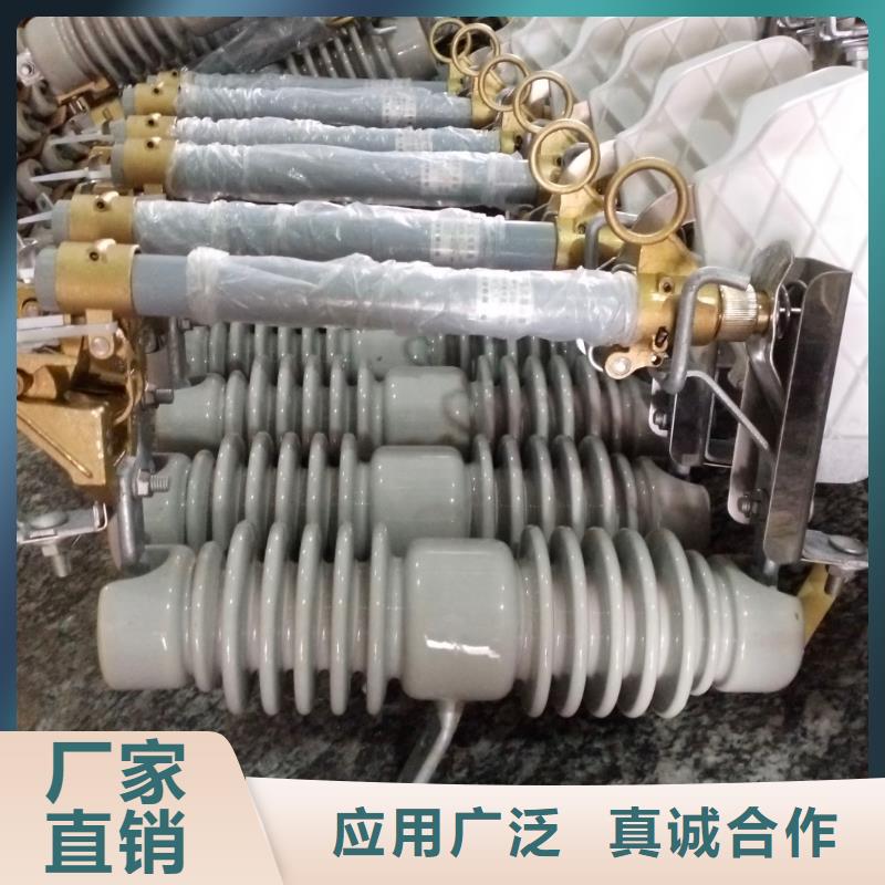 【跌落式熔断器】RW12-12KV/100A浙江羿振电气有限公司当地服务商