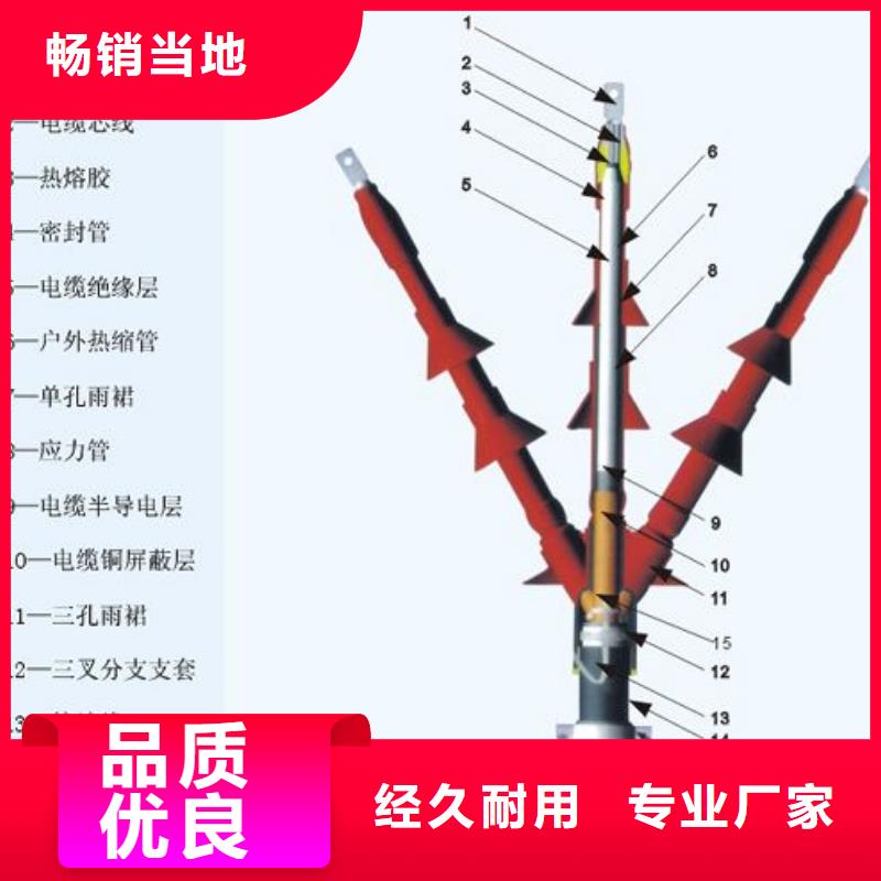 【】户外热缩电缆终端头WSY-35/3.2本地供应商
