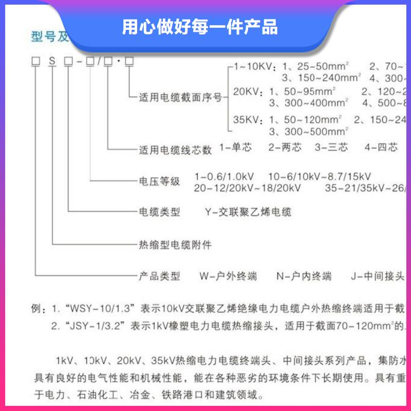 【滨州】户外热缩电缆终端头WSY-20/3.2