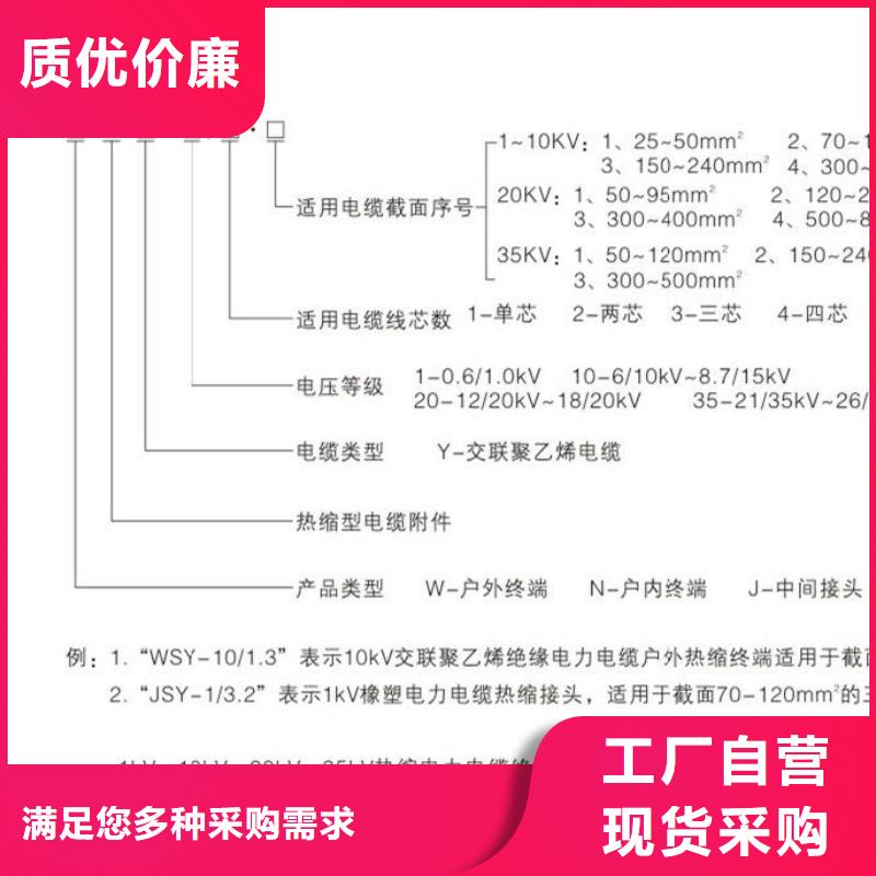 【】户外热缩电缆终端头WSZ-15/3.1出厂价