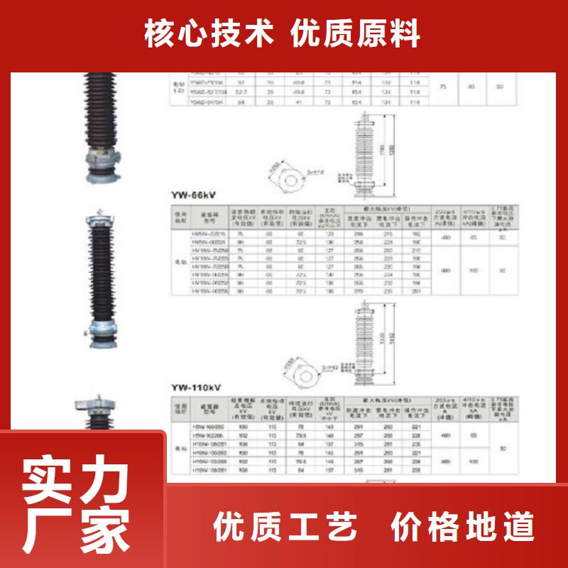 【潮州】金属氧化物避雷器YH5WX-96/250