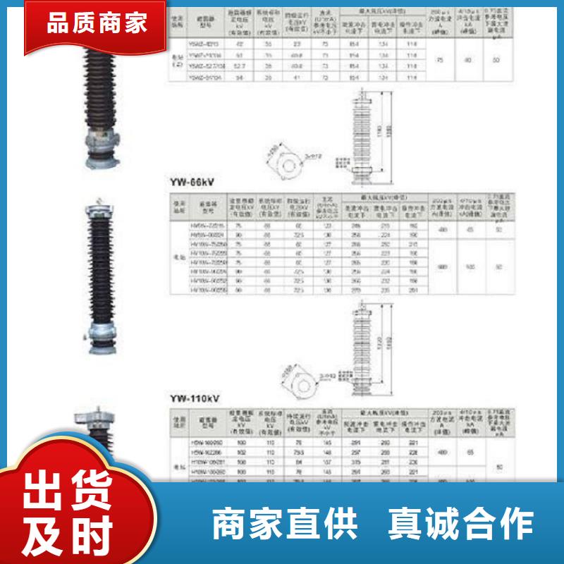 【咸宁】金属氧化物避雷器 YH10CX5-96/250，放电计数器