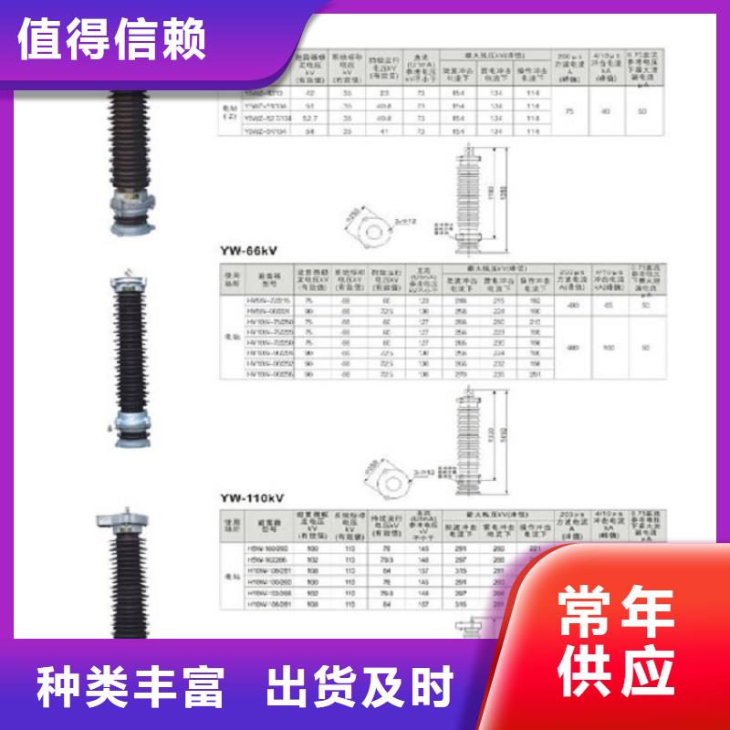 氧化锌避雷器Y10W-216/562 浙江羿振电气有限公司