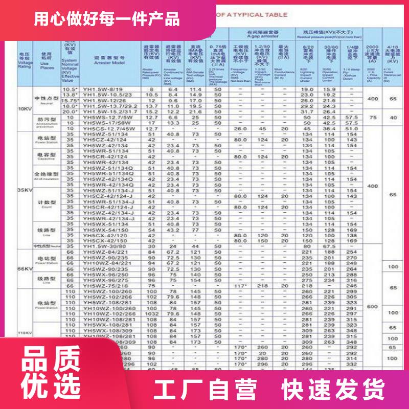 【阜阳】金属氧化物避雷器 HY10WZ-96/250