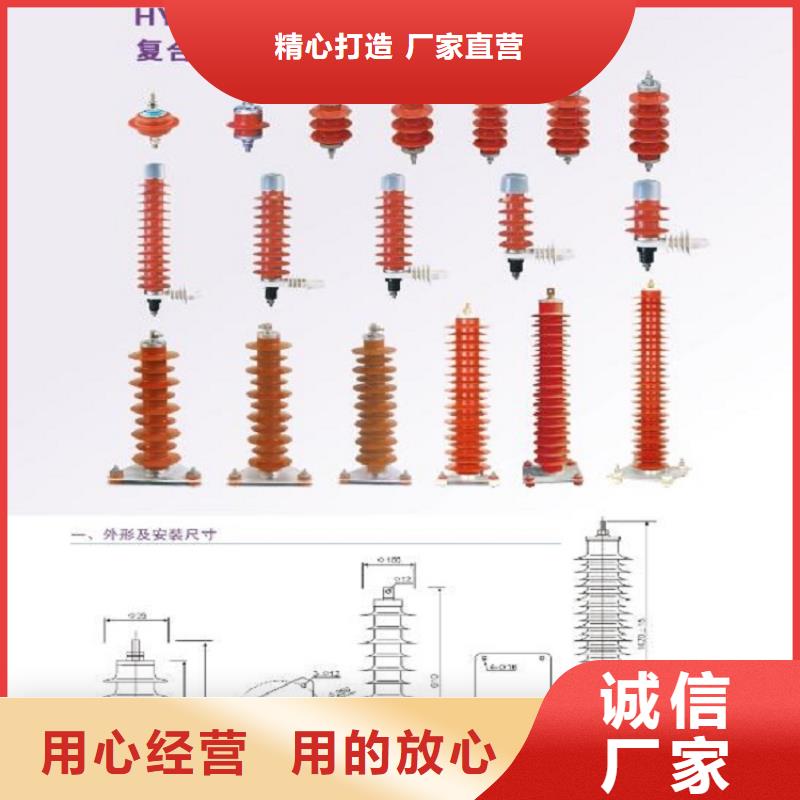 氧化锌避雷器Y10W-100/260 浙江羿振电气有限公司