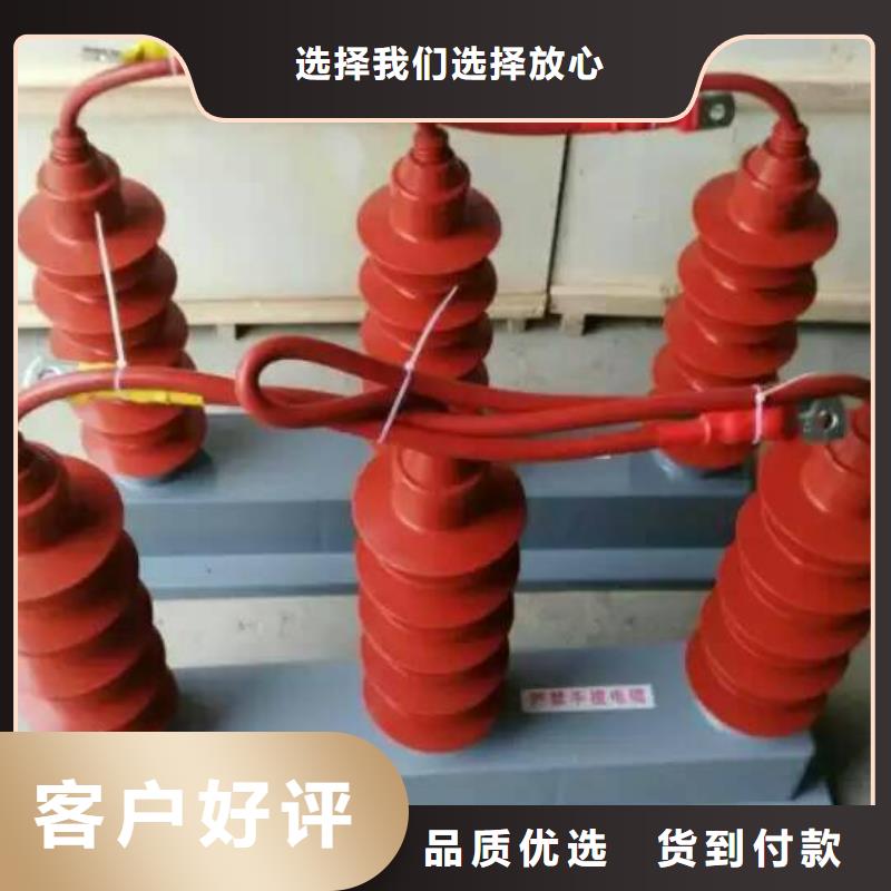 【】过电压保护器(组合式避雷器)HFB-C-7.6F/131有口皆碑