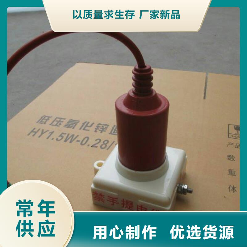 【】过电压保护器(组合式避雷器)YH5WZ-17/45*17/45专业生产厂家