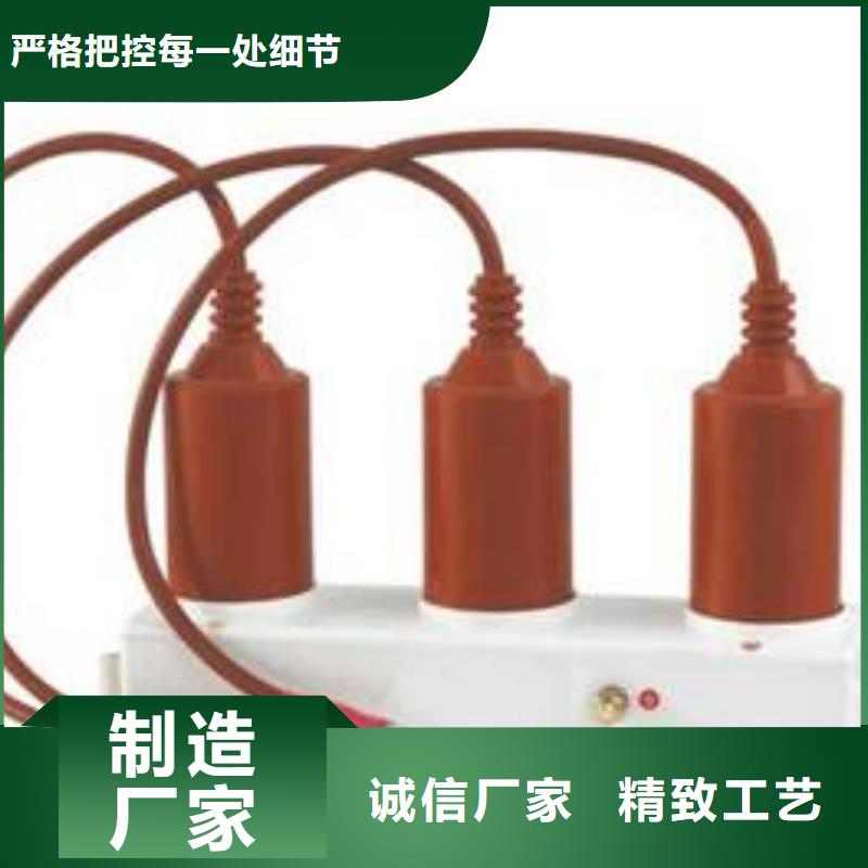 【汉中】过电压保护器(组合式避雷器)TBP-C-12.7/150