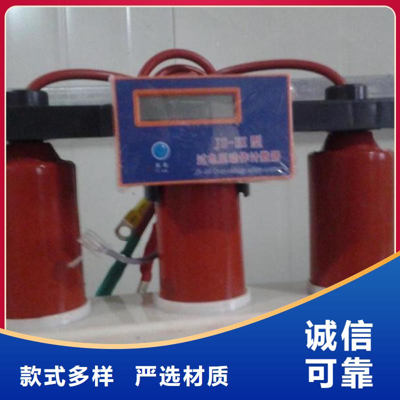 【安徽】过电压保护器(组合式避雷器)YH5WD-13.5/38.7*13.5/31.0