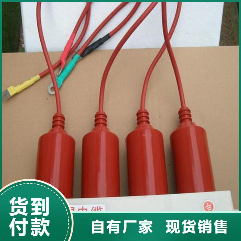 【陵水县】保护器(组合式避雷器)RY-GDY2-A/6组合过电压保护器